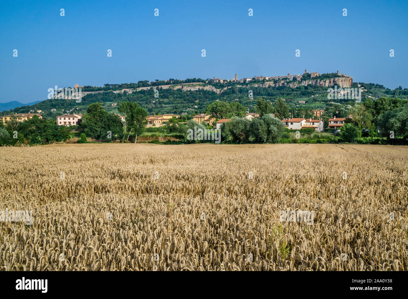 Vue panoramique de la colline médiévale ville d'Orvieto situé sur le sommet plat d'une grande butte de tuf volcanique Banque D'Images