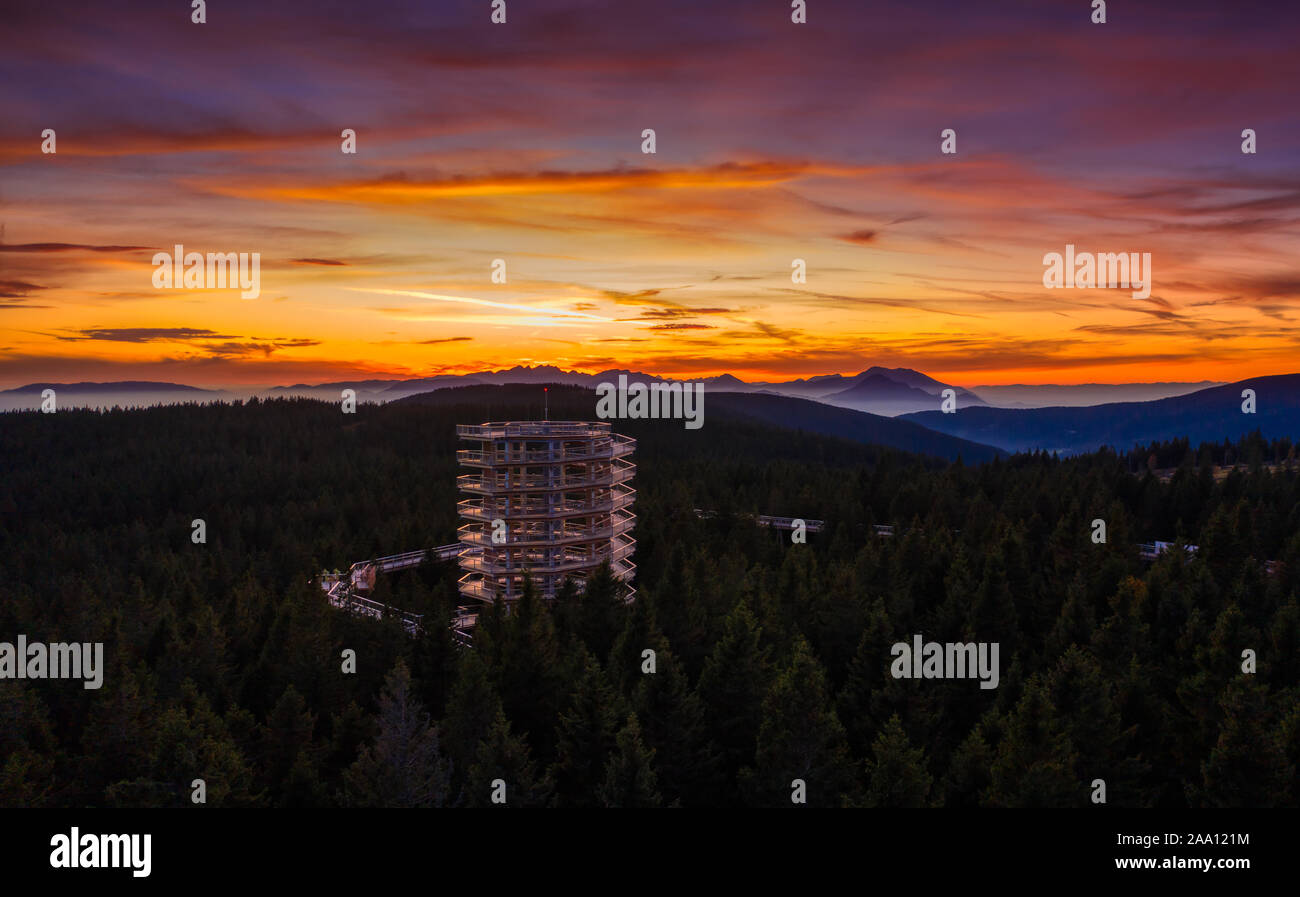 Coucher de soleil sur une tour d'observation au-dessus de la canopée, la forêt à pied dans les bois, les parcours s'élève très haut au-dessus des arbres dans la nature à Rogla Pohorje resort de loisirs Banque D'Images