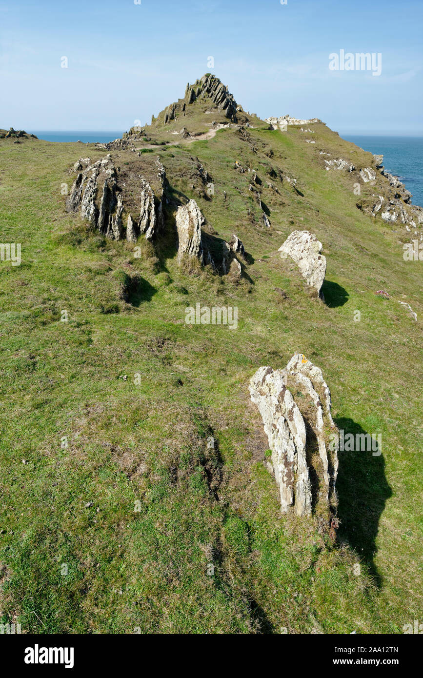 Les affleurements de verticale au Point Mort Mort, ardoise, North Devon Woolacombe Banque D'Images