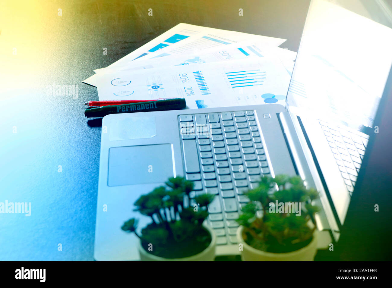 Fiche de contrôle d'entreprise de l'infograph avec coffre, contrôle du bénéfice d'entreprise, Marketing et Finances Photo, trouver Profit & Loss Banque D'Images