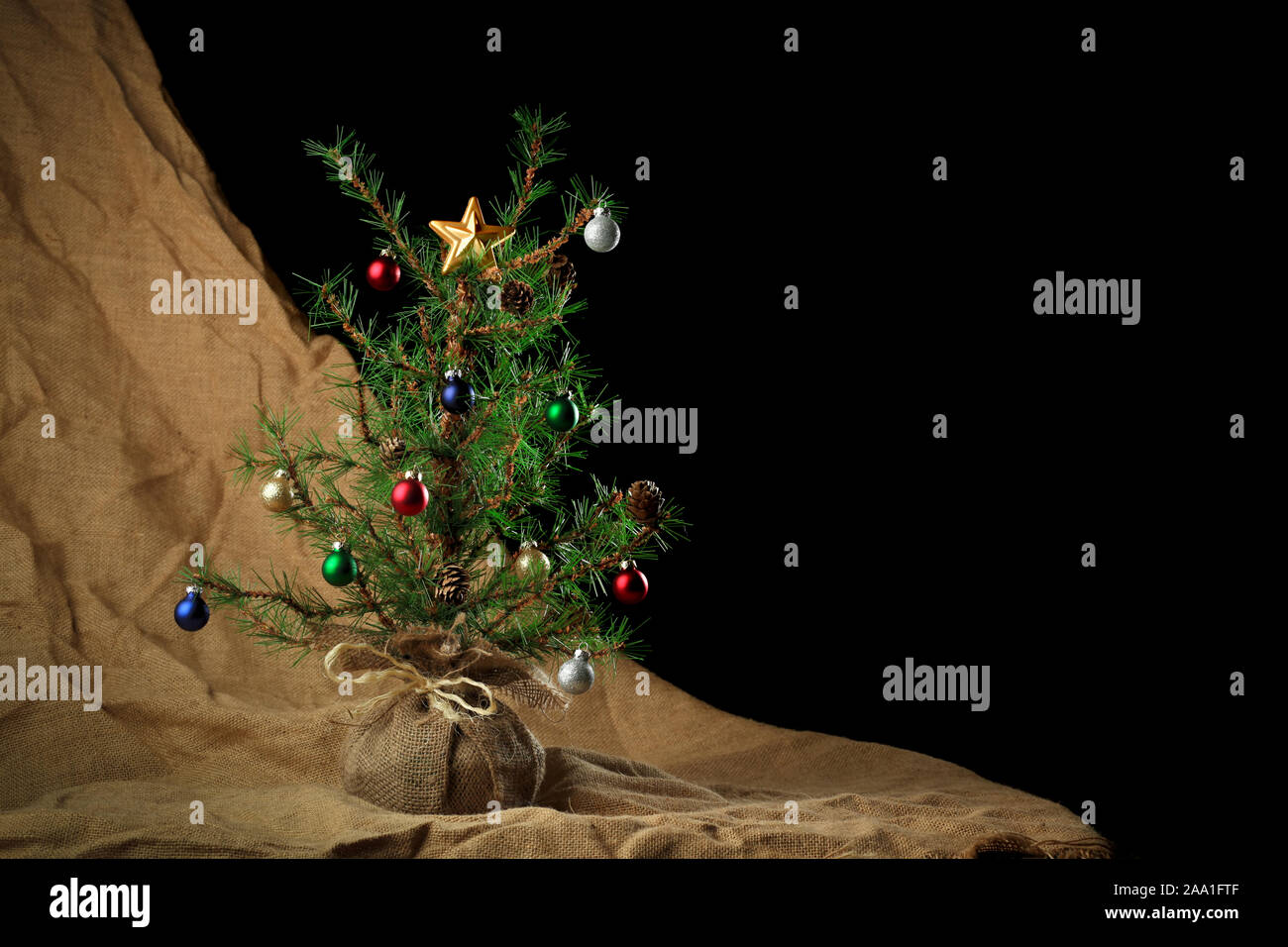 Petit arbre de Noël rustique sur toile avec un espace réservé au texte noir vide Banque D'Images