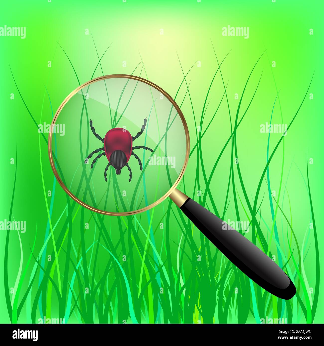 Acarien encéphalite sur l'herbe. vector illustration sur un fond vert. Illustration de Vecteur