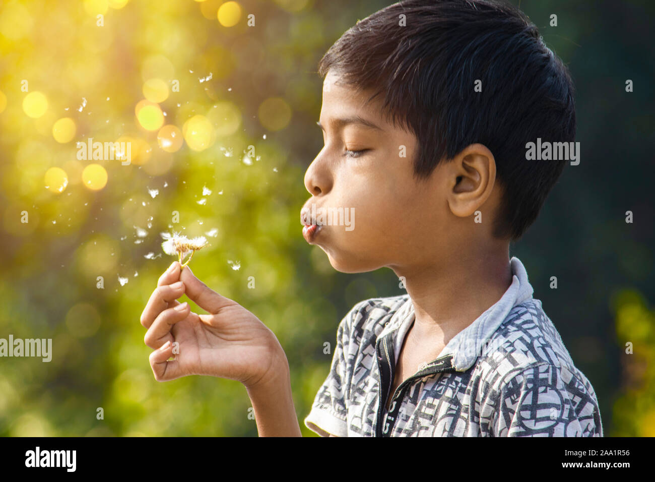 Little Indian boy blowing dandelion. Sijhora, Madhya Pradesh, Inde, novembre 2019 Banque D'Images