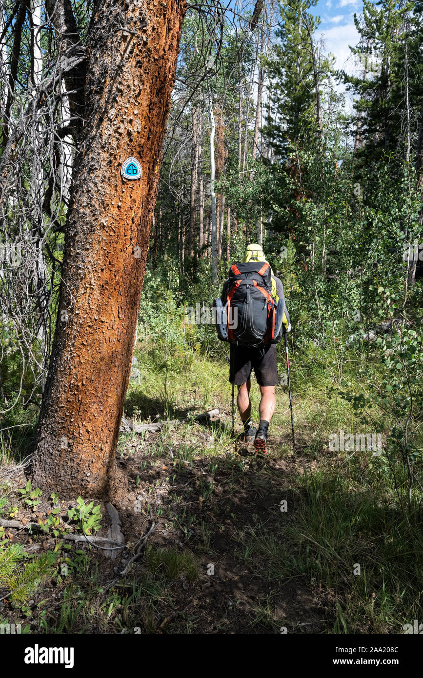 Randonnées sur le CDT en chaîne Wind River, Wyoming, USA Banque D'Images