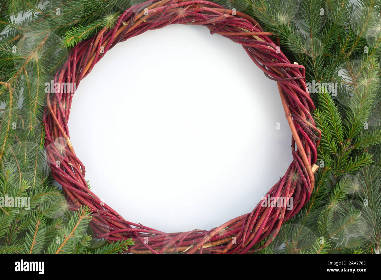 Fond de Noël avec couronne de fleurs et branches de sapins et fond blanc copie espace pour texte border frame pour le texte Banque D'Images