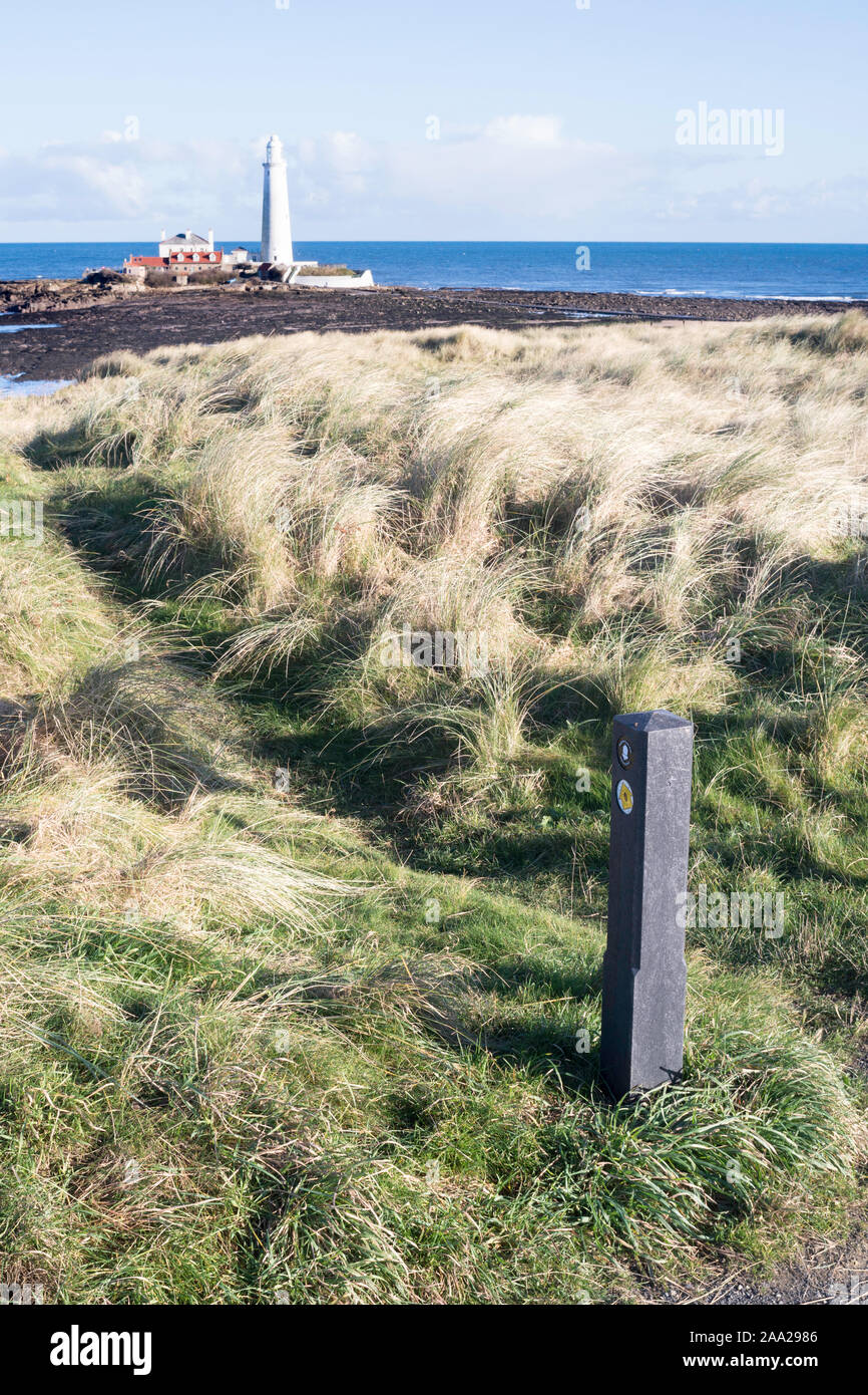 Un marqueur de façon plastique recyclé le long de la côte de l'Angleterre et National Cycle route réseau 1 en Whitley Bay, North East, England, UK Banque D'Images