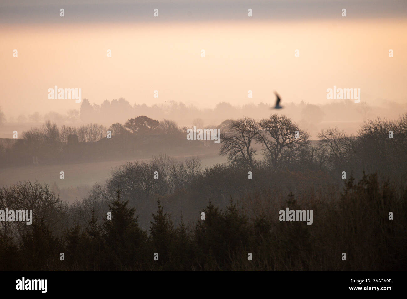 Un matin brumeux et froid sur Burton Dassett Hills Country Park dans le Warwickshire. Banque D'Images