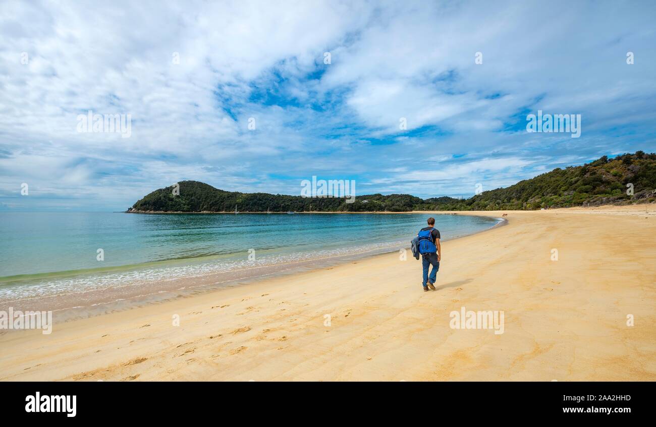 Jeune homme marche sur la plage, Anchorage Bay, parc national Abel Tasman, Tasman, île du Sud, Nouvelle-Zélande Banque D'Images