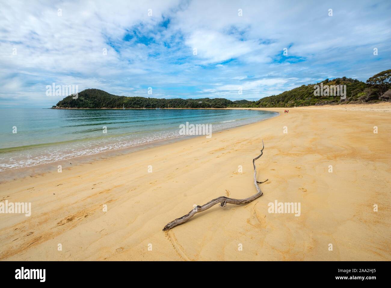 Longue plage de sable, Anchorage Bay Parc national Abel Tasman, Tasman, île du Sud, Nouvelle-Zélande Banque D'Images