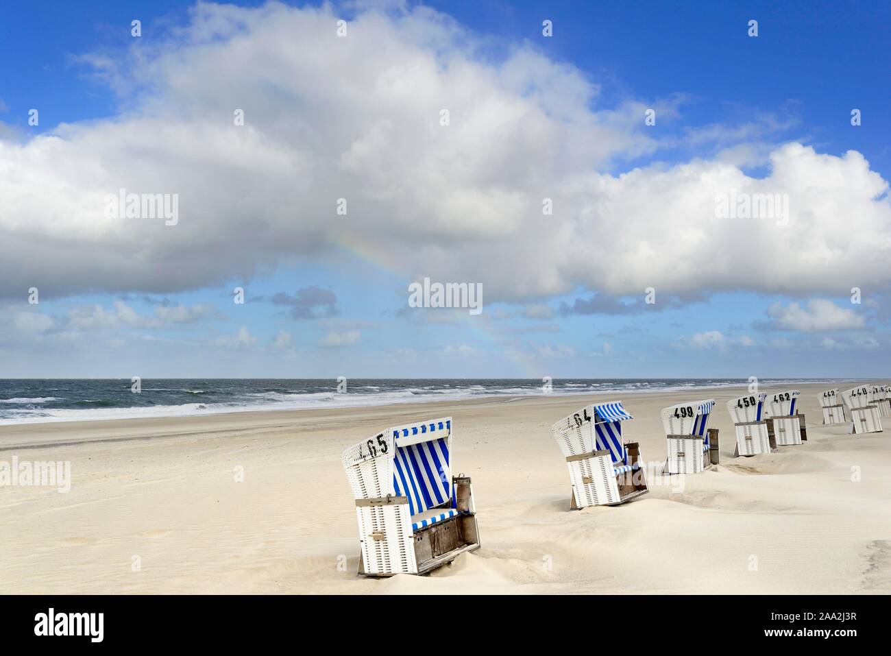 Blanc-bleu chaises de plage sur la plage, mer du Nord, Wenningstedt, Sylt, au nord de l'île de la Frise, Frise du Nord, Schleswig-Holstein, Allemagne Banque D'Images