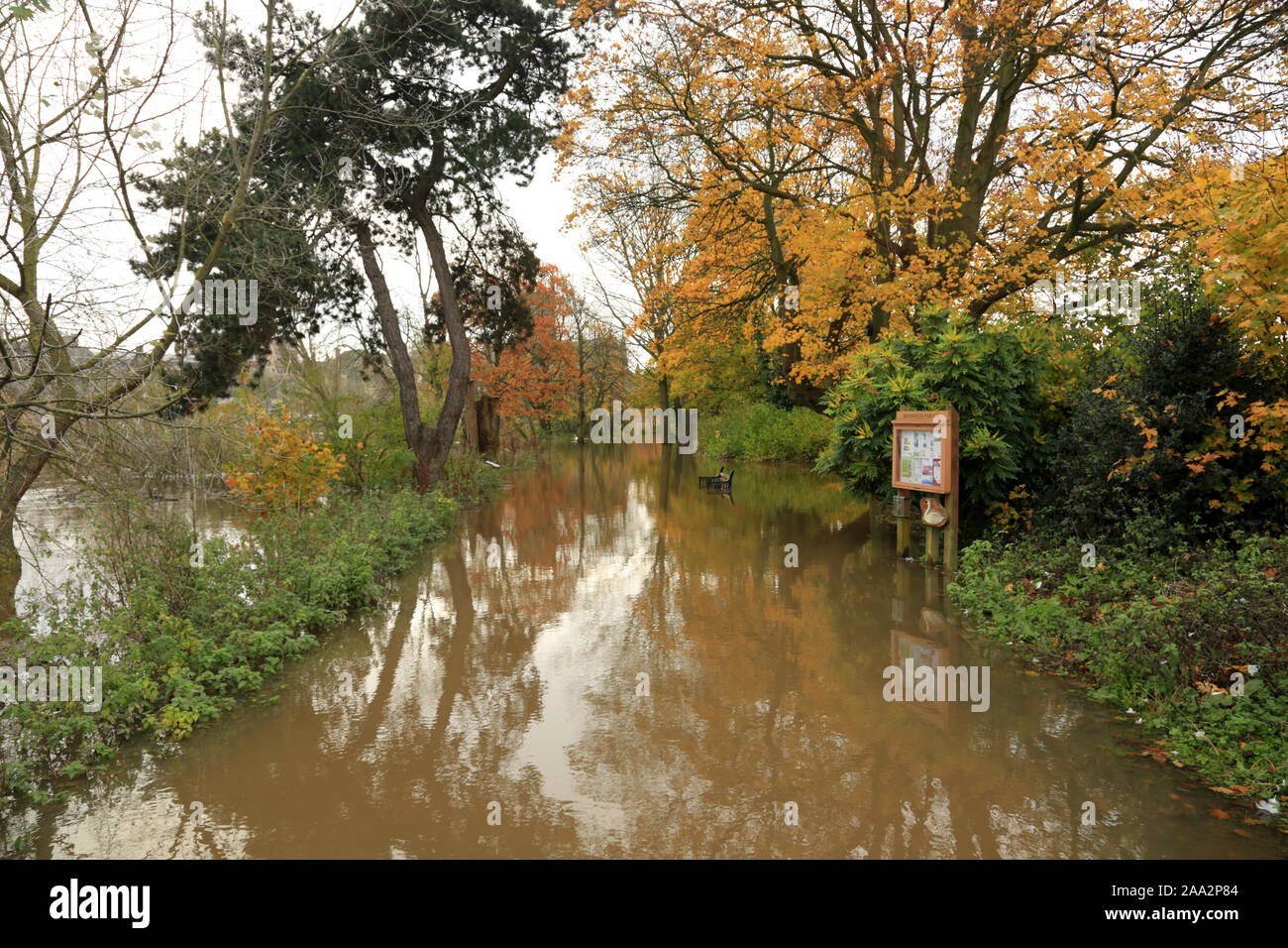 Chemin Riverside inondées dans le centre-ville de Worcester, England, UK. Banque D'Images