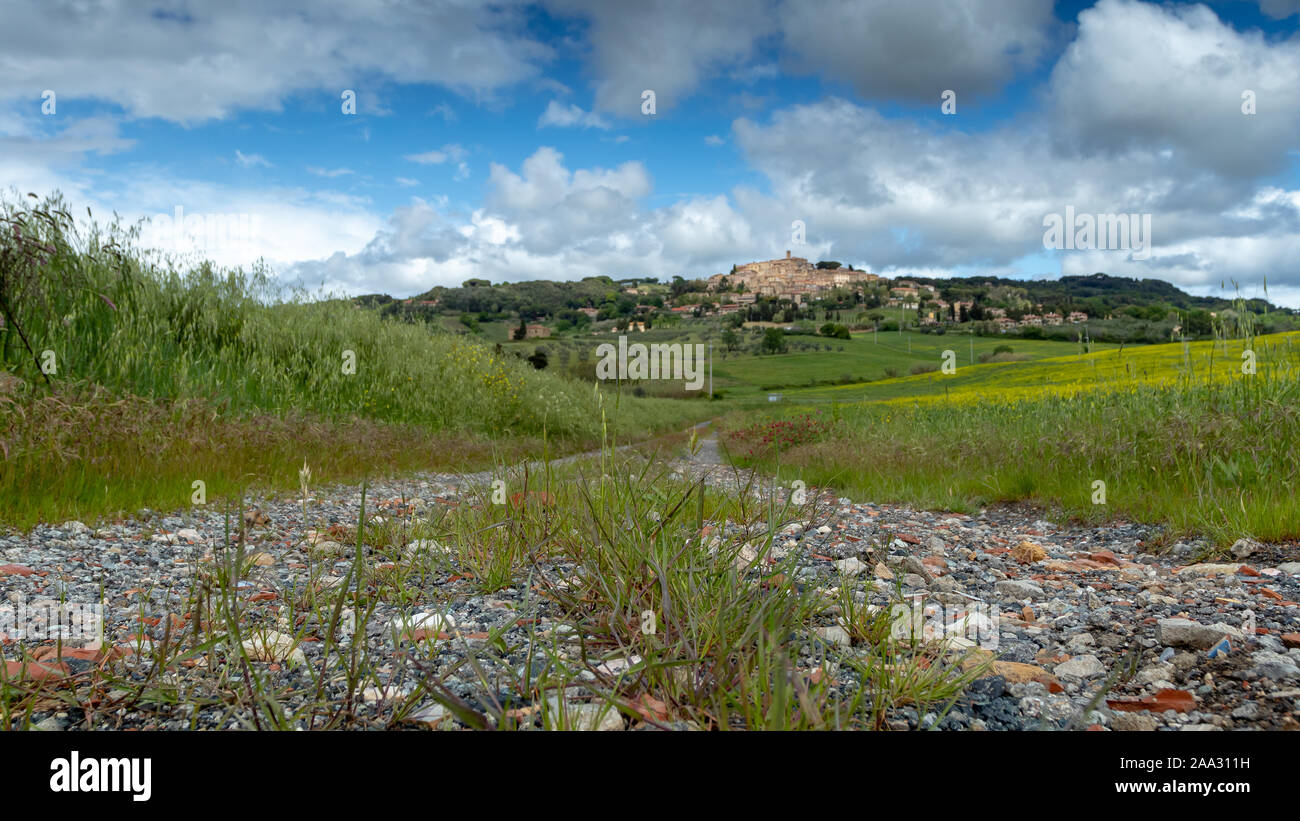 Route de campagne menant à Castagneto Carducci, Livourne, Toscane, Italie Banque D'Images