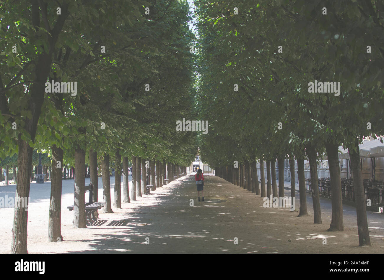 Femme marche dans un parc public, France Banque D'Images