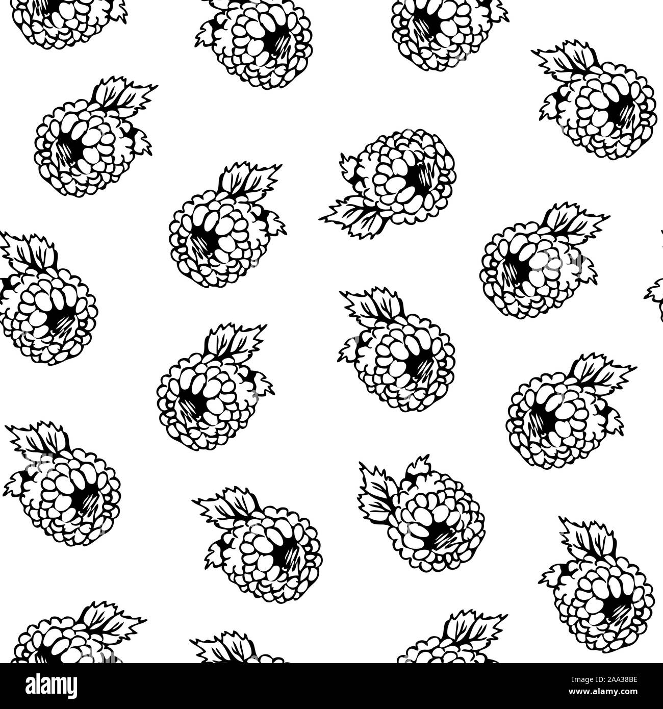 Modèle vectoriel continu de framboise, noir et blanc berry isolé sur fond blanc, fruits background Illustration de Vecteur
