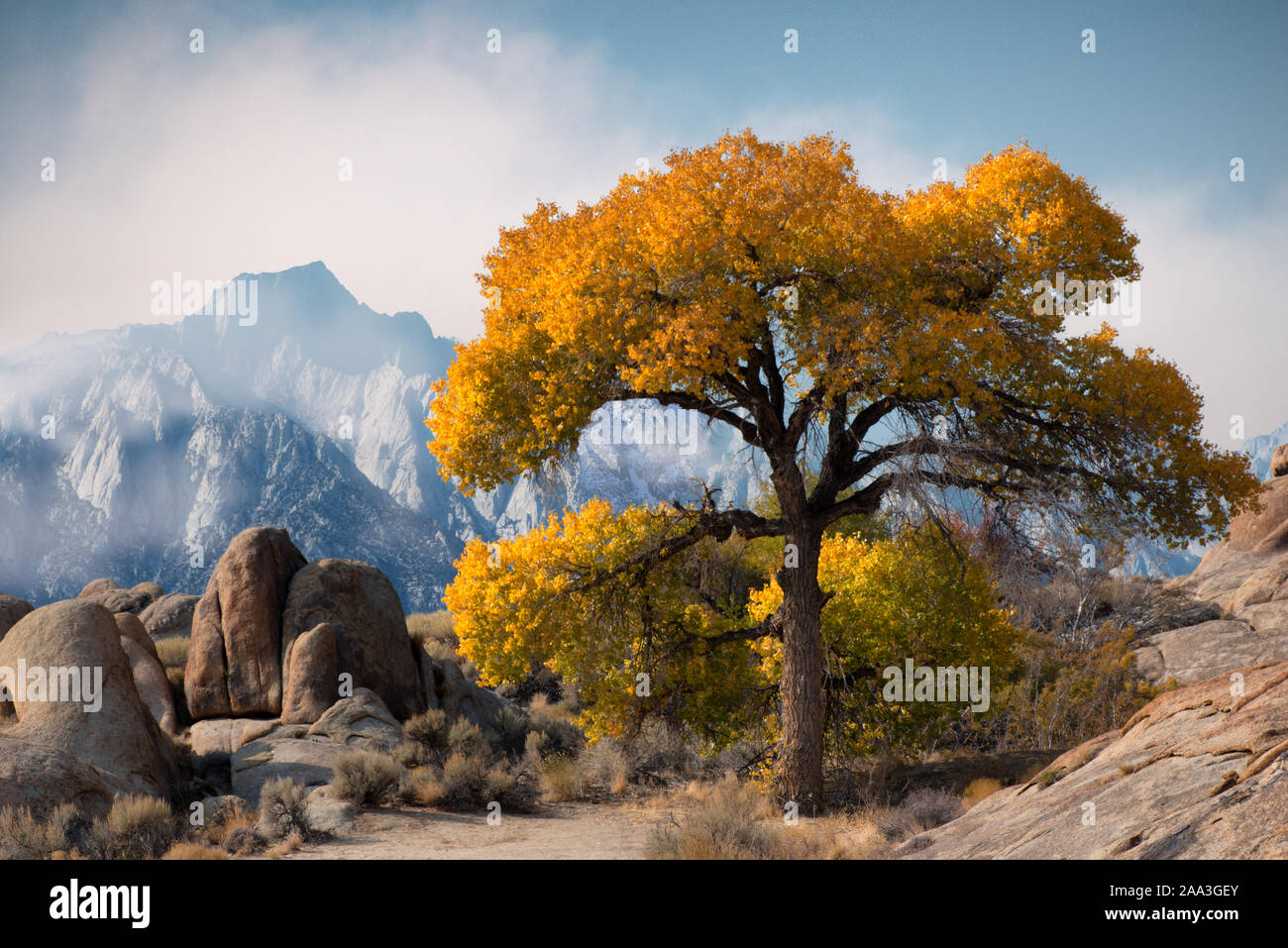 Digital composite d'un paysage rural, USA Banque D'Images