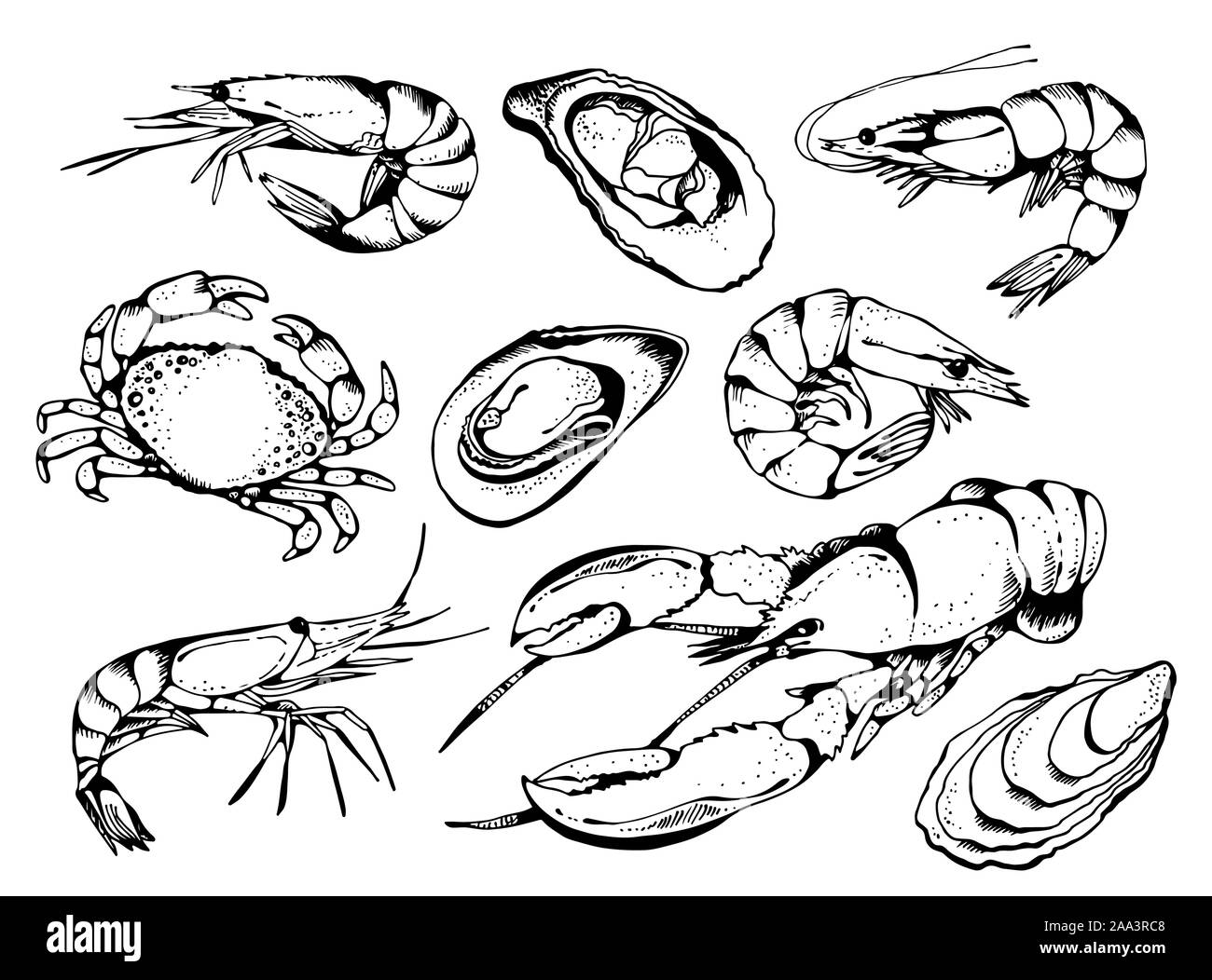 Vector set de fruits de mer, de l'alimentation dans la collection vector style croquis isolé sur fond blanc : homard, crabe, crevettes, huîtres, moules Illustration de Vecteur