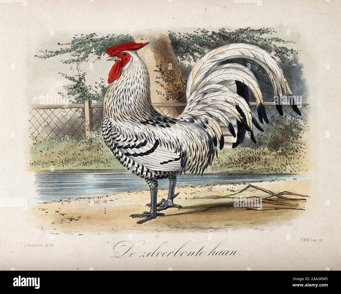 g.coq