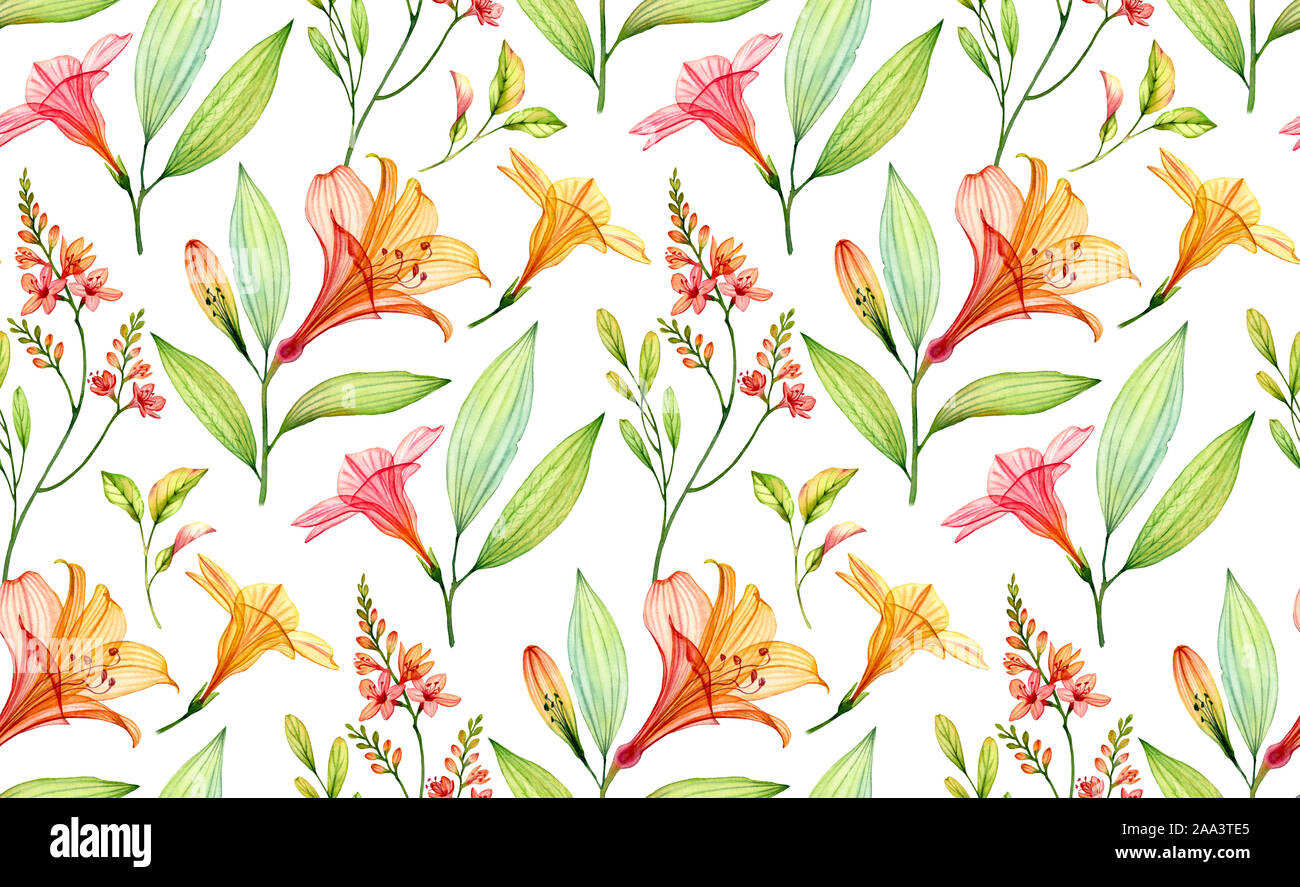 Transparente motif tropical à l'aquarelle. Lily Transparent, freesia, fleurs et feuilles d'hibiscus. Illustration botanique pour la conception de mariage d'écran, Banque D'Images
