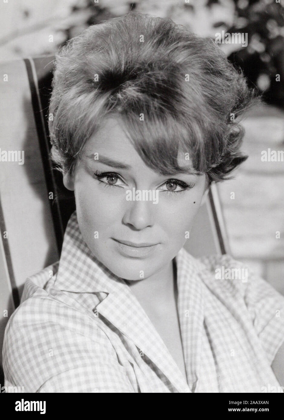 Susanne Cramer, deutsche Schauspielerin 1950er Jahre, Deutschland. L'actrice allemande Susanne Cramer, l'Allemagne des années 1950. Banque D'Images