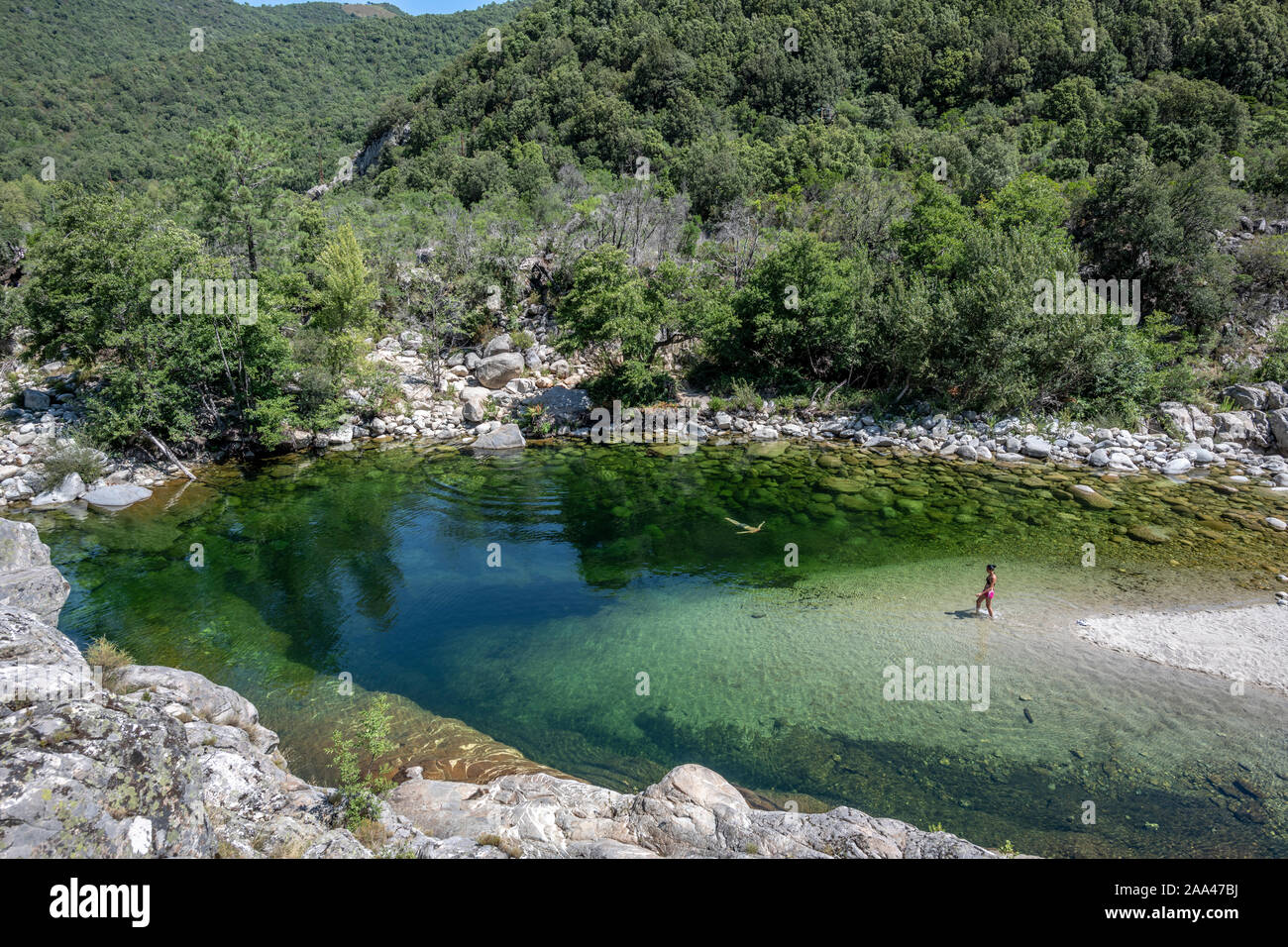 Adultes touristes appréciant une piscine naturelle de la rivière Travu, Corse, France, Europe Banque D'Images