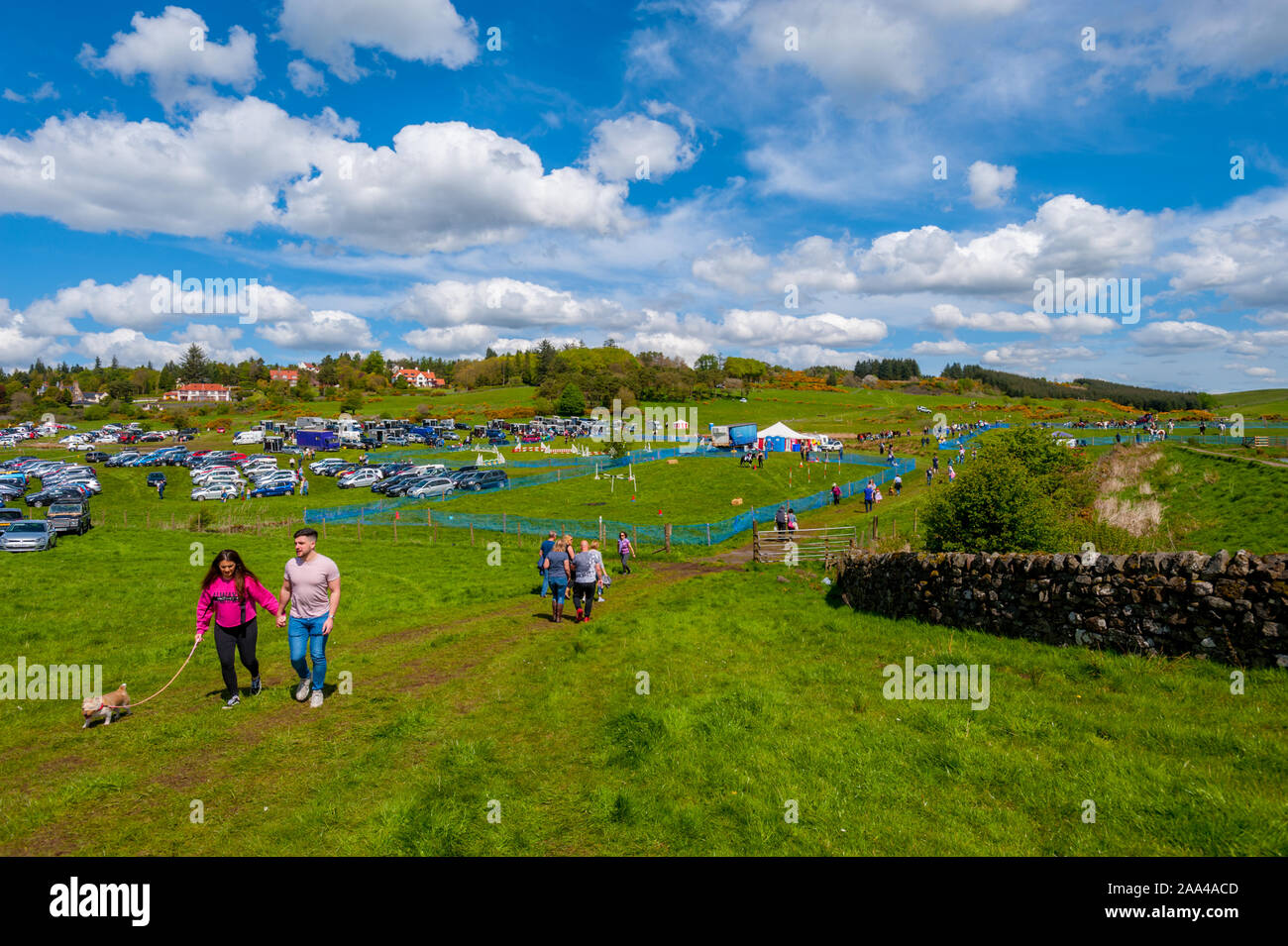 Le bétail du village spectacle au Knapps Kilmacolm en Écosse. Banque D'Images