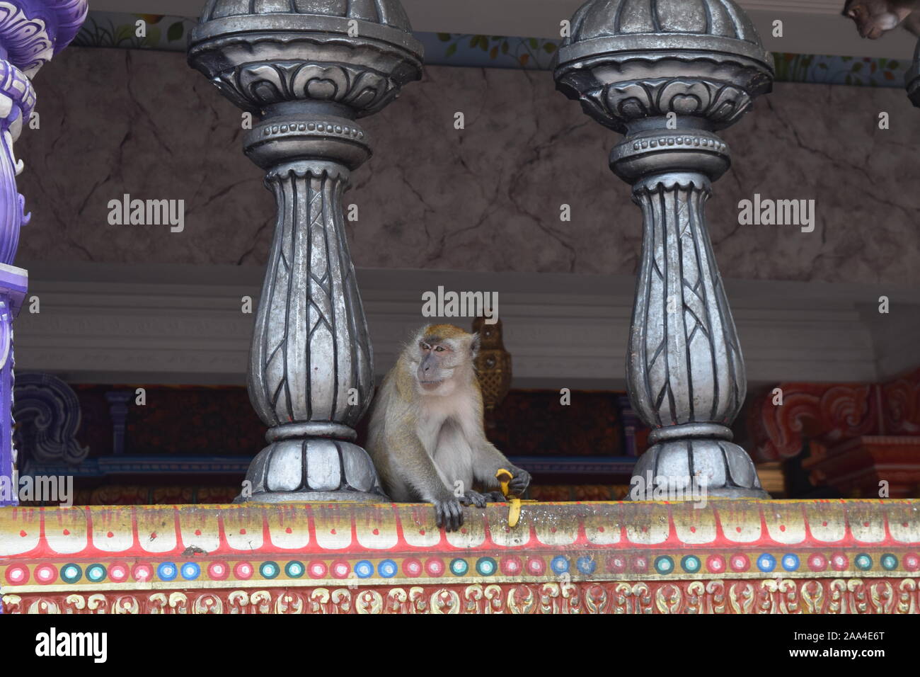 Images de grottes de Batu, un sanctuaire hindou à Selangor, Malaisie Banque D'Images