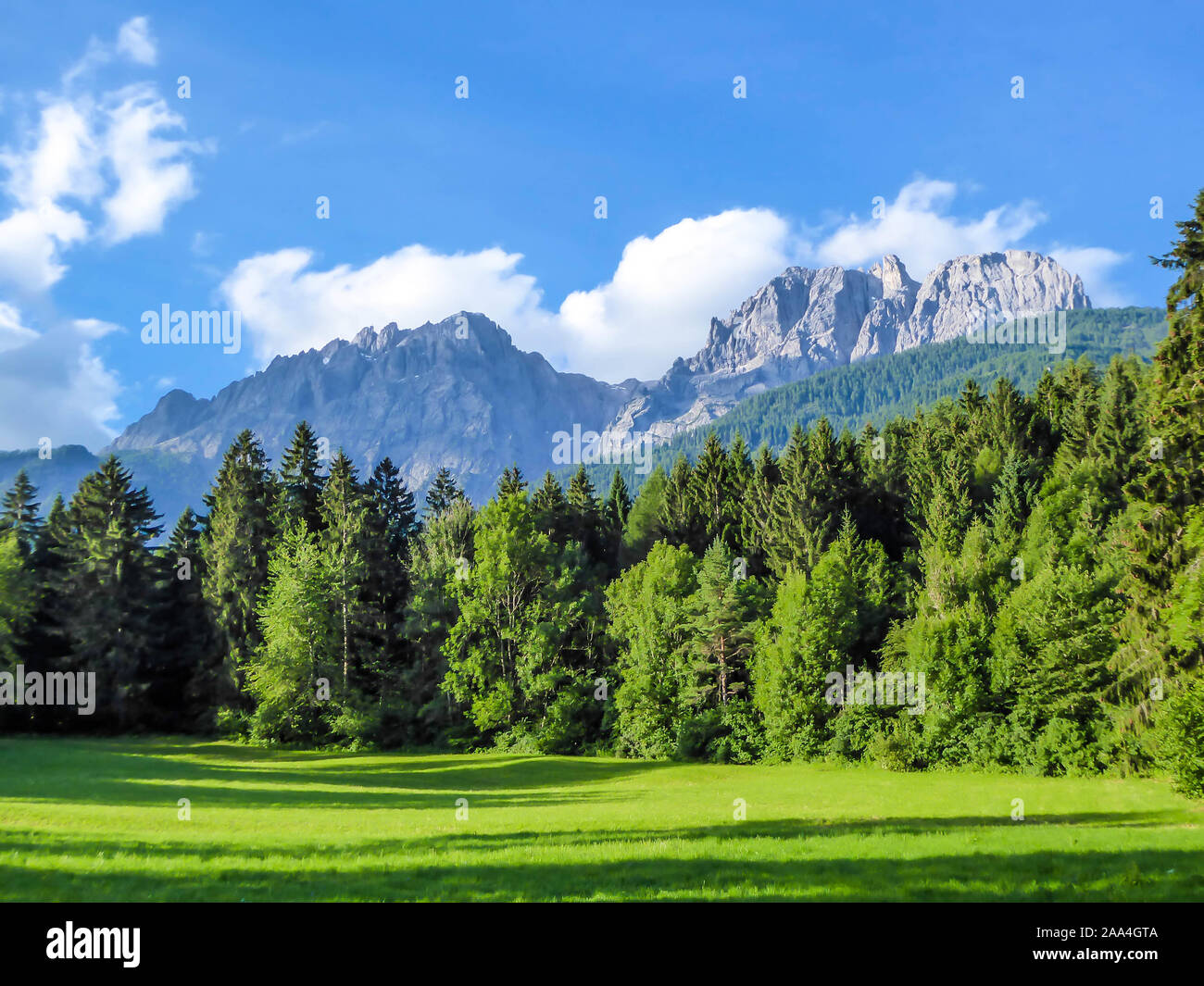 Une verte prairie luxuriante dans une vallée alpine. Il y a une forêt épaisse à l'avant et une très haute chaîne de montagnes. Le sol est recouvert d'herbe fraîche. Banque D'Images