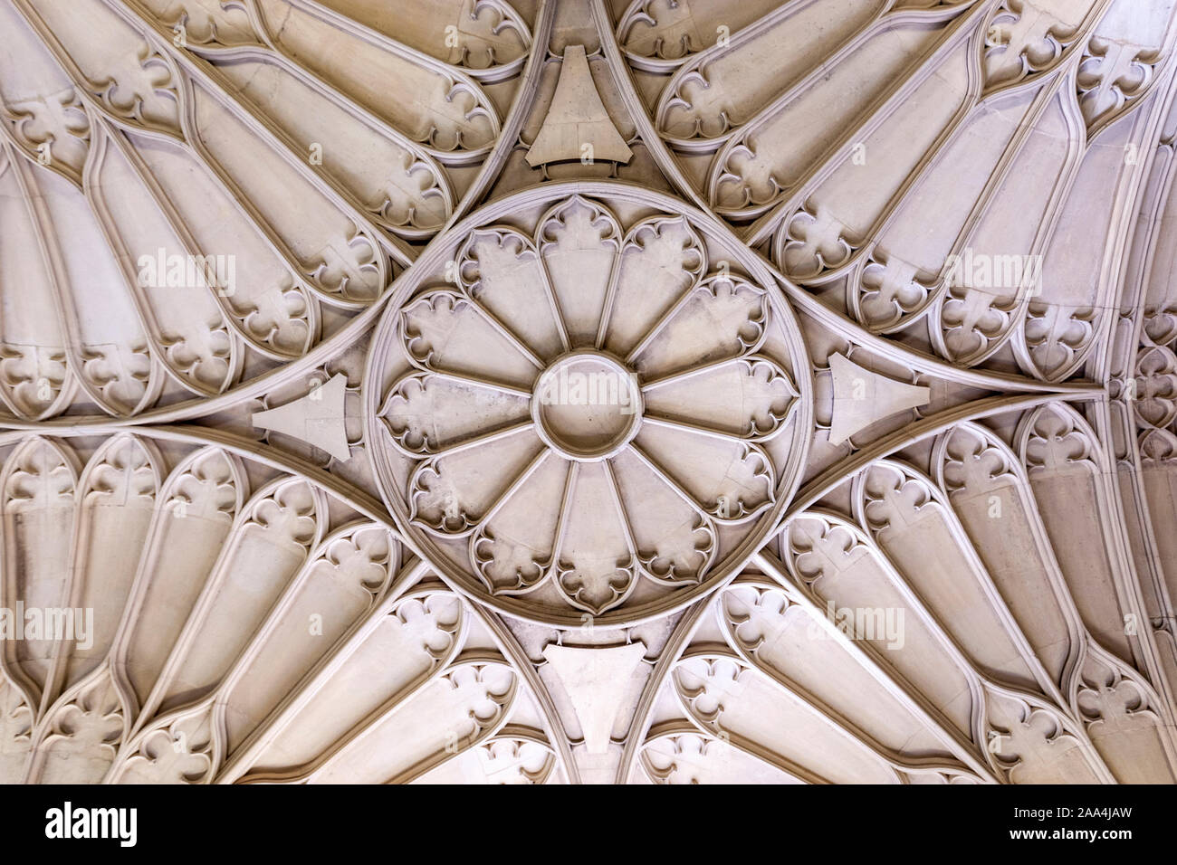 Plafond de convocation assemblée, vers plus de l'Université d'Oxford Bodleian Library et Divinity School à Oxford, Oxfordshire, England, UK Banque D'Images