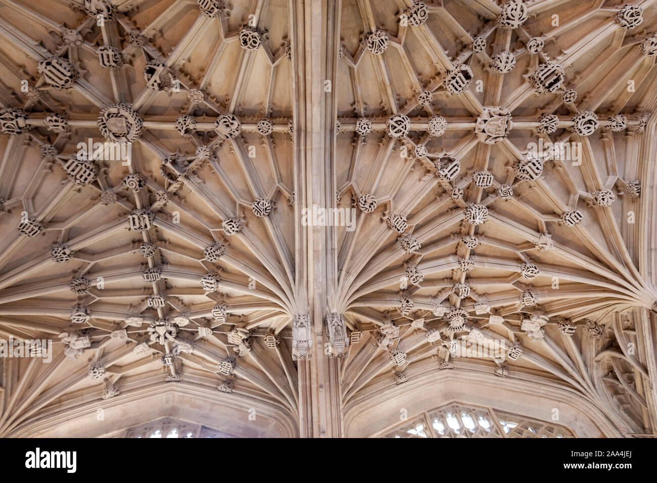 Plafond avec voûtes lierne dans Divinity School, édifice médiéval et prix dans le style perpendiculaire, Oxford, Oxfordshire, England, UK Banque D'Images