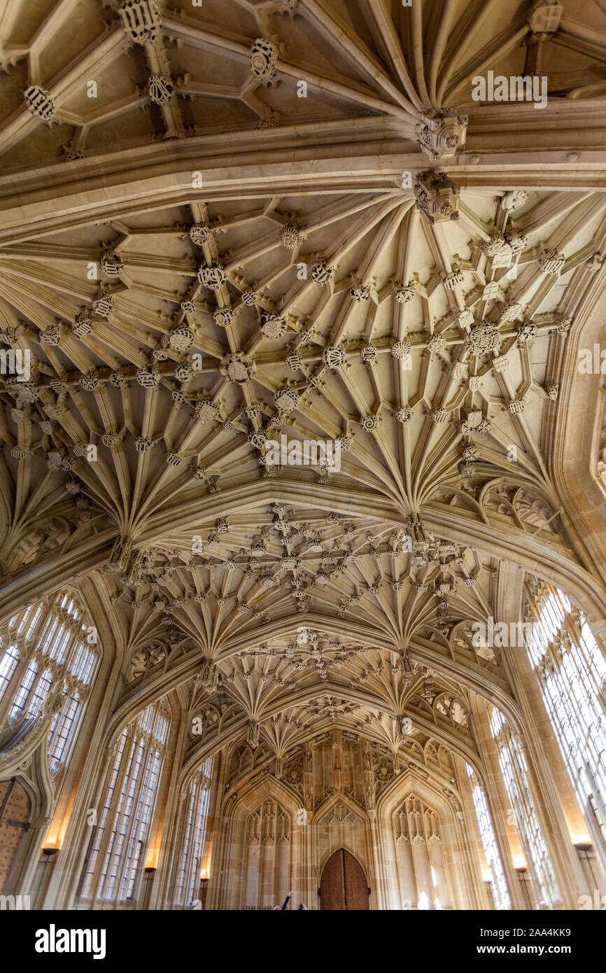 Plafond avec voûtes lierne dans Divinity School, édifice médiéval et prix dans le style perpendiculaire, Oxford, Oxfordshire, England, UK Banque D'Images