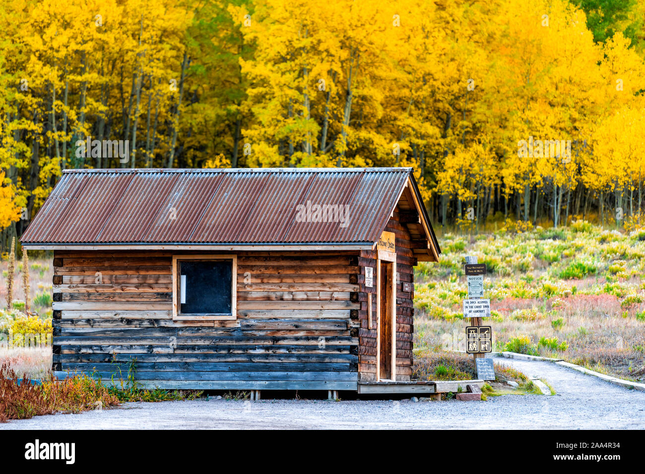 Aspen, USA - 27 septembre 2019 : Castle Creek Road maison en bois abandonnés dans la cabine de la ville fantôme d'Ashcroft avec feuillage jaune in Colorado aut Banque D'Images