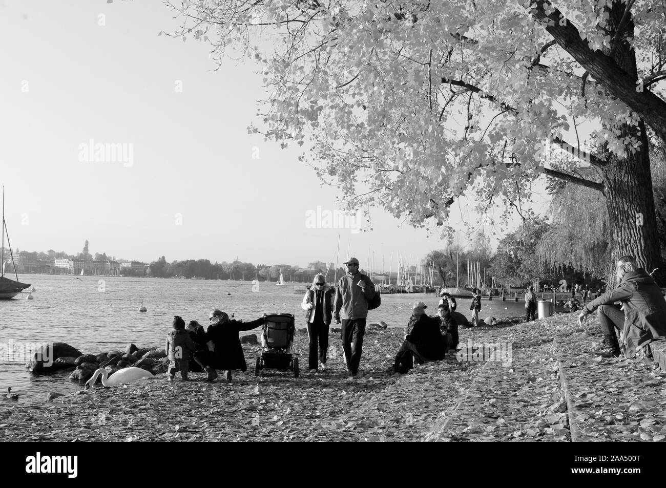 Suisse : les personnes bénéficiant de couleurs d'automne au lac de Zürich à Seefeld Banque D'Images