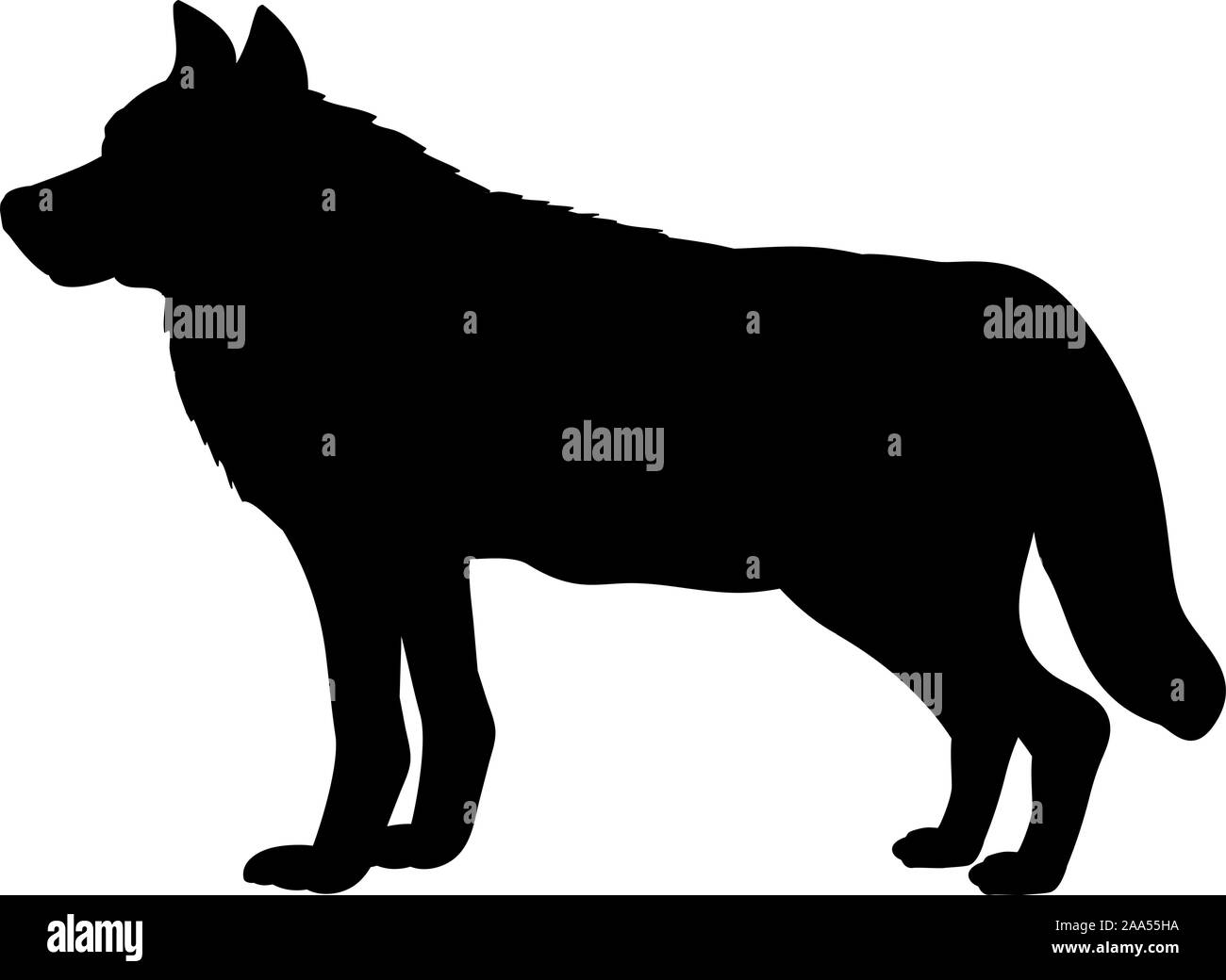 Silhouette de loup. La faune des forêts d'origine animale. Vector illustrator Illustration de Vecteur