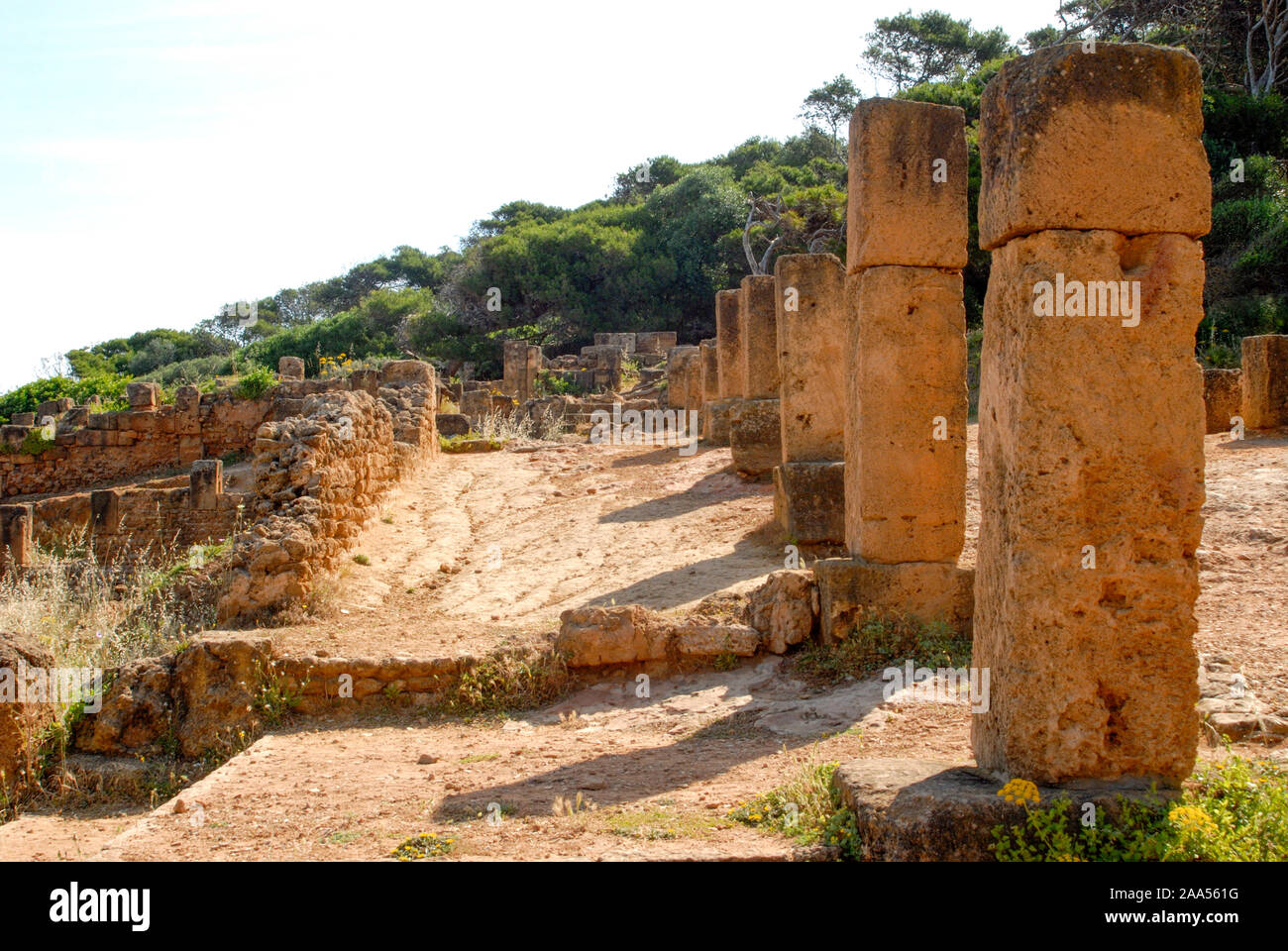 Ruines de Tipaza, Algérie Banque D'Images