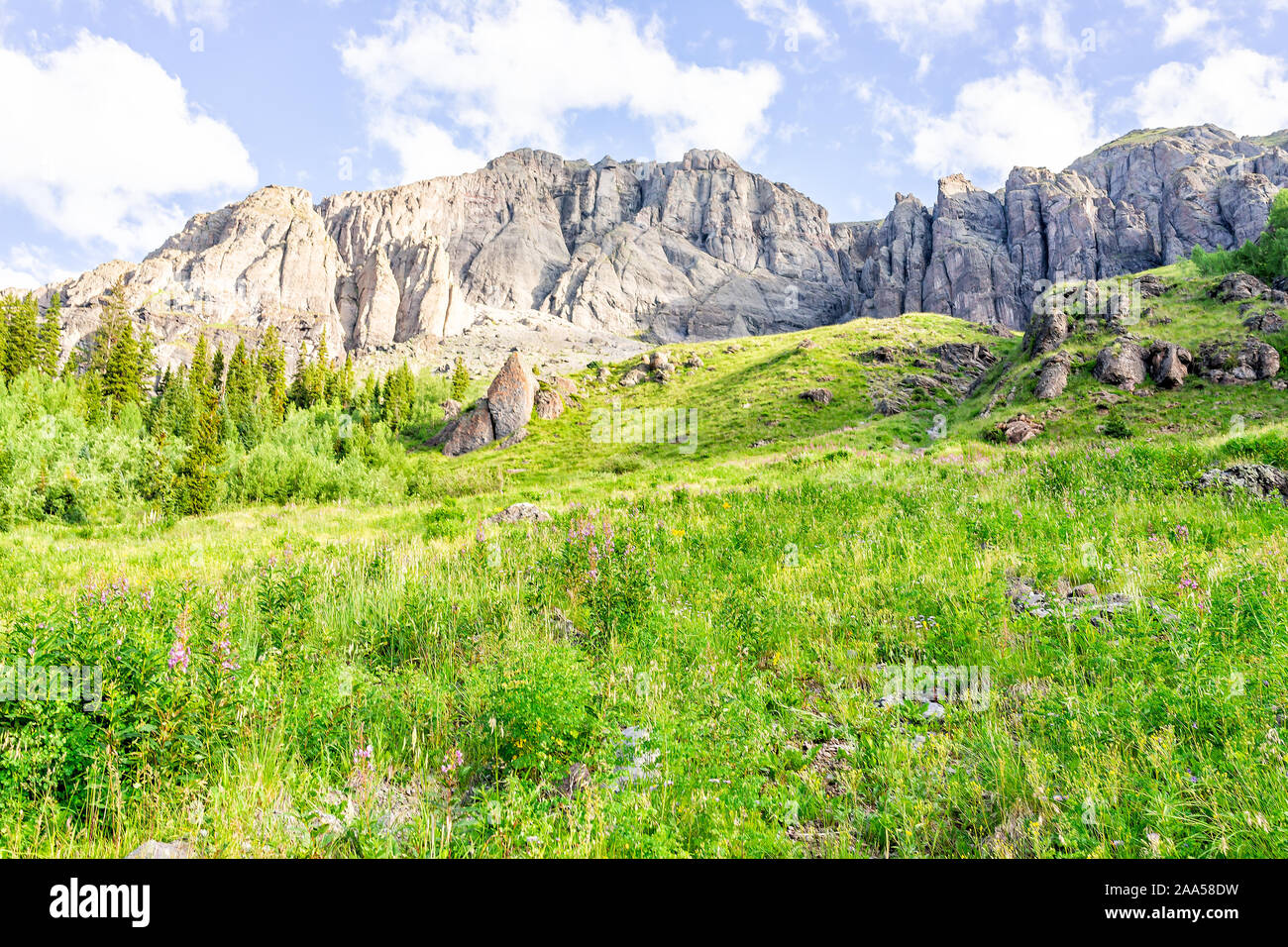 Voir de vert prairie alpine rocky avec des pierres et des fleurs sur le sentier d'Ice Lake près de Silverton, Colorado le sommet en août 2019 l'été Banque D'Images