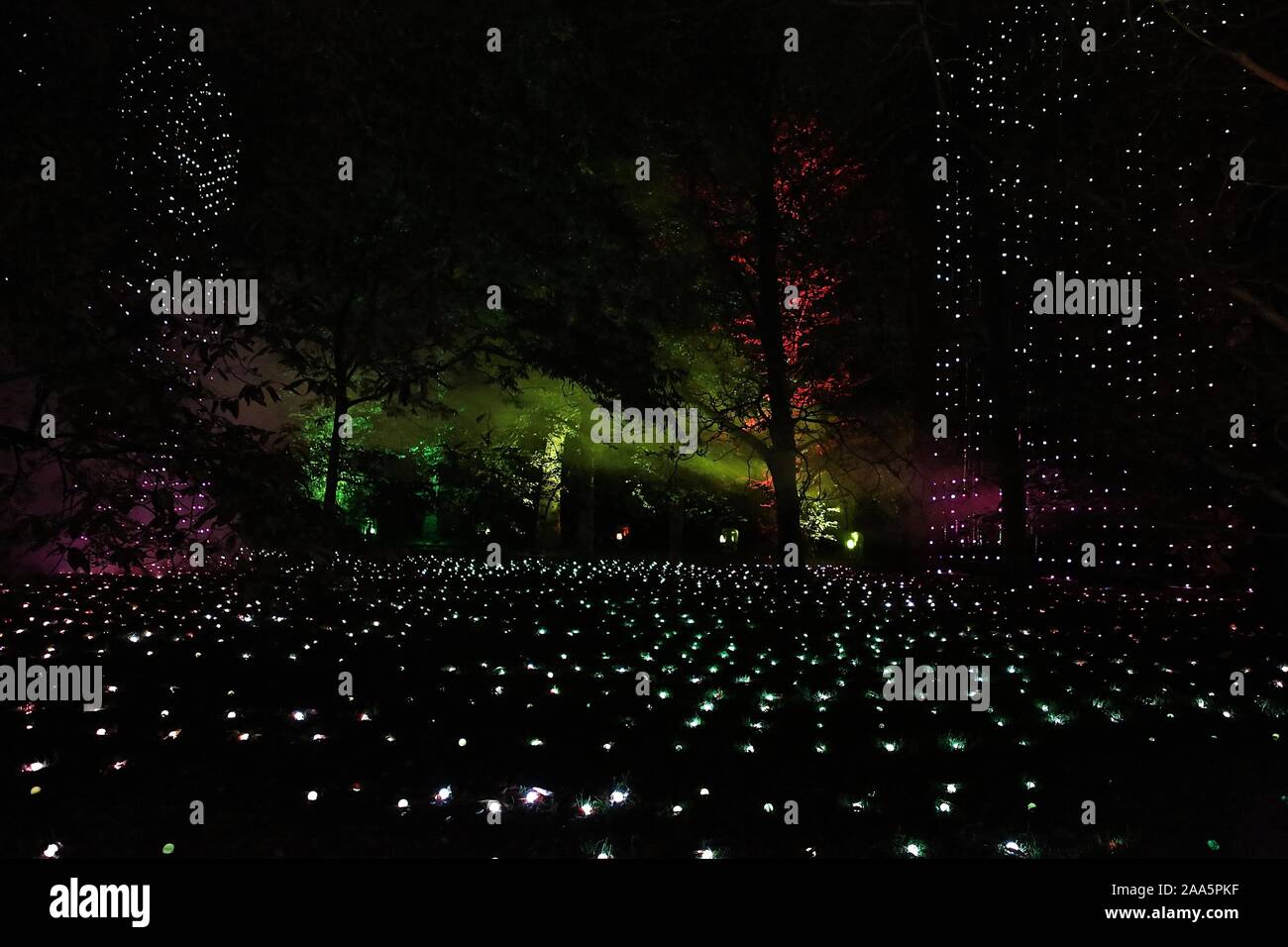Un sentier lumineux magique par Kew - paysage magnifique après sombre , éclairé par un million de lumières , et un tableau d'une incroyable d'une installation à partir d'une liste d'artistes internationaux. maintenant à sa septième année , Noël à Kew est le doit - faire événement sur le calendrier festif de Londres .Le sentier offre une gamme d'impressionnantes œuvres d'art de la lumière et le son créé par un certain nombre d'UK , français et artistes australiens et les studios de création . Banque D'Images