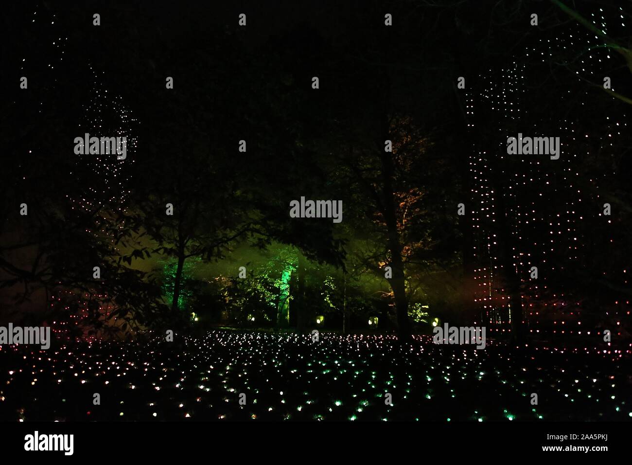 Un sentier lumineux magique par Kew - paysage magnifique après sombre , éclairé par un million de lumières , et un tableau d'une incroyable d'une installation à partir d'une liste d'artistes internationaux. maintenant à sa septième année , Noël à Kew est le doit - faire événement sur le calendrier festif de Londres .Le sentier offre une gamme d'impressionnantes œuvres d'art de la lumière et le son créé par un certain nombre d'UK , français et artistes australiens et les studios de création . Banque D'Images