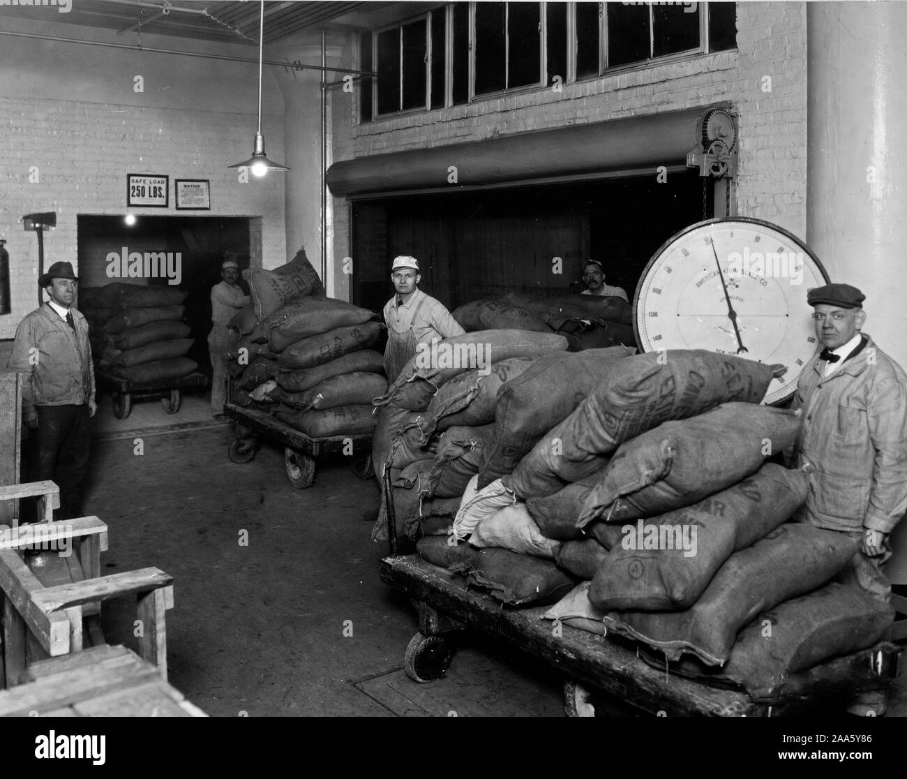 De Guerre - Industries - Usine de chewing-gum Wrigley Pesage de sacs de sucre granulé dans la réception ca. 1917-1918 Banque D'Images