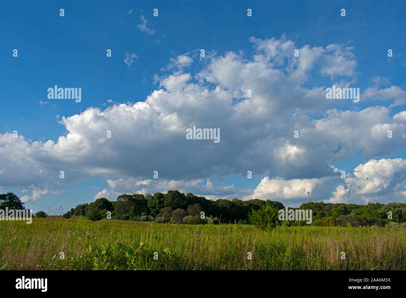 Vue panoramique le long de la piste cyclable à Big Brook Park à Marlboro, New Jersey, USA. -01 Banque D'Images