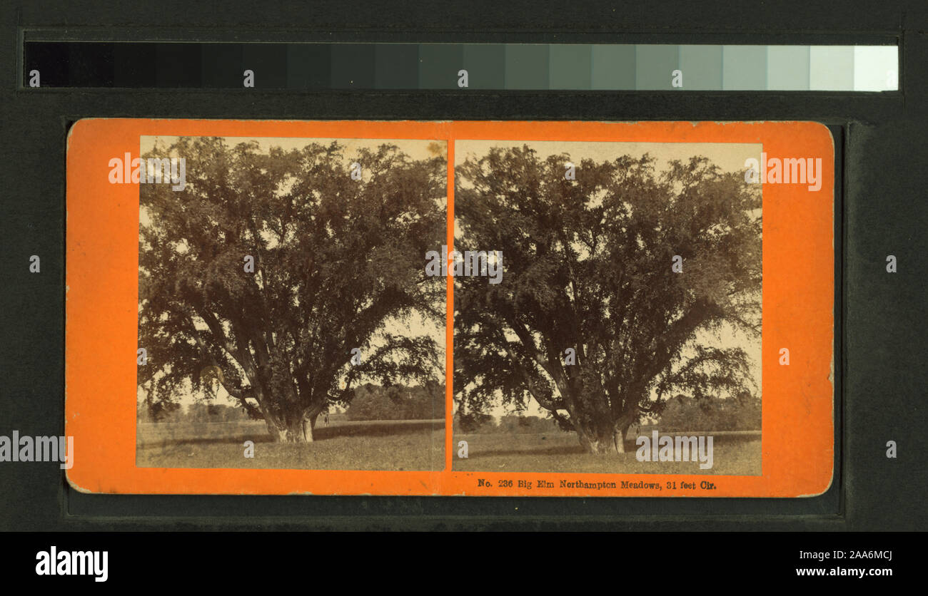 Grand orme, Northampton pré, 31 pieds de cir. ; grand orme, Northampton pré, 31 pieds de cir. Banque D'Images