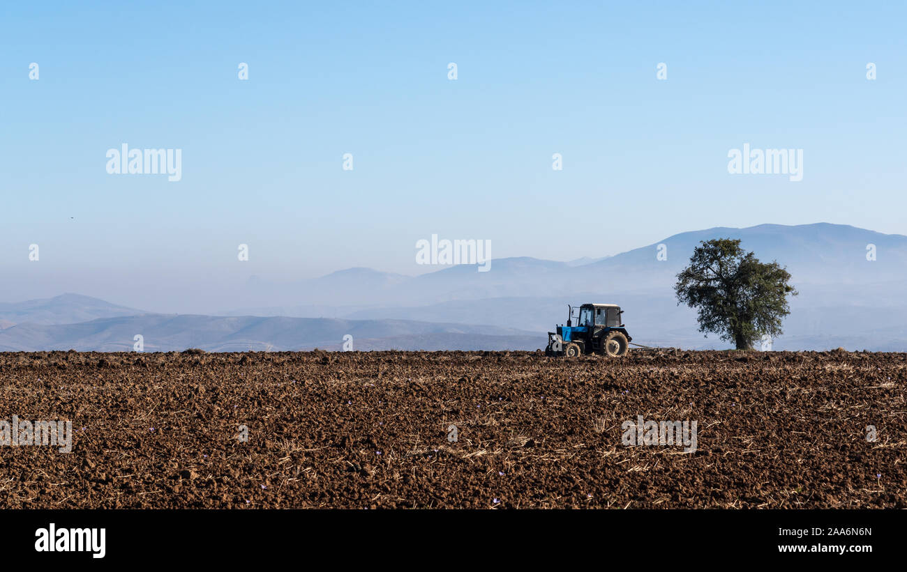 Le tracteur laboure un champ agricole Banque D'Images