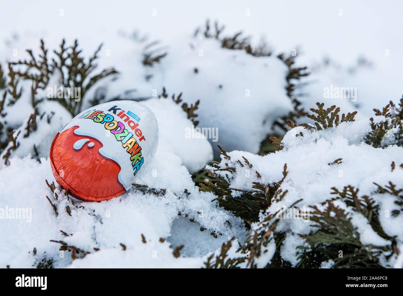 Oeufs Kinder Surprise est composé d'une capsule en plastique, shell chocolat avec toy, et externe d'aluminium. Surprise mot écrit en polonais. faites par Ferrero Banque D'Images