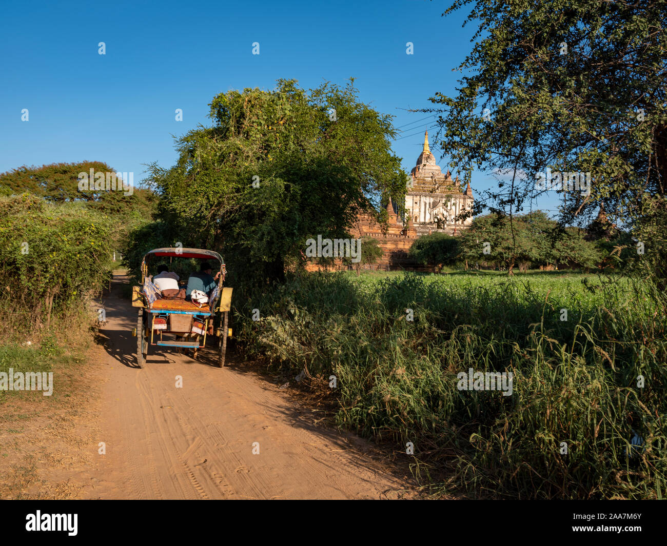 Une charrette traditionnelle de Bagan, Myanmar roule sur une route de terre dans la zone archéologique de stupas et un temple important dans la distance Banque D'Images