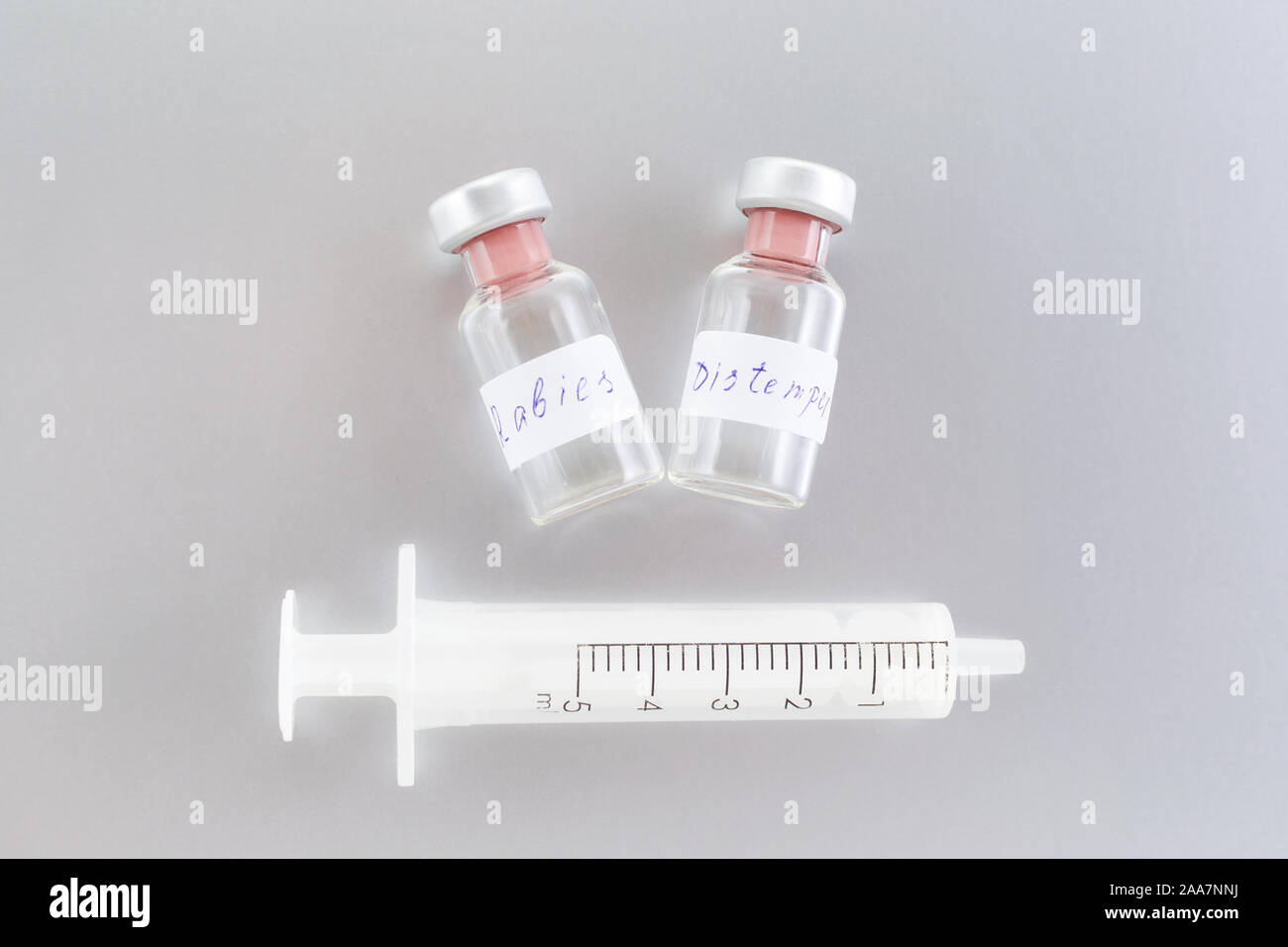 Flacon de médicaments avec le vaccin contre la rage et la maladie de carré pour la santé animale Banque D'Images