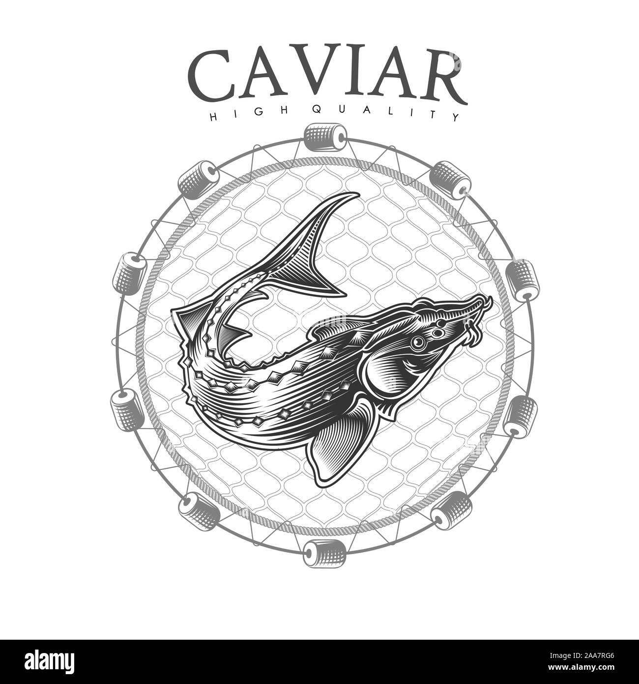 Poissons esturgeons dans des filets de pêche sur le blanc. Étiquette pour le poisson ou le caviar dans leur gravure Illustration de Vecteur