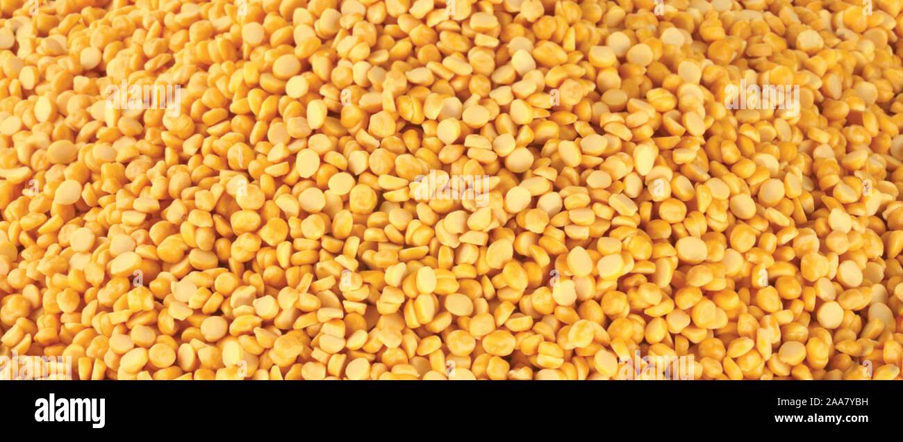 Pois chiche Split connu aussi sous le nom de Chana Dal, Chana jaune Pois cassés, lentilles pois chiches secs ou Toor Dal - taxtures - Image Banque D'Images