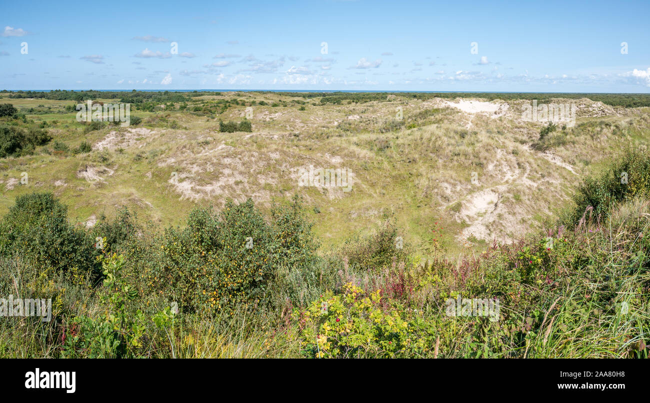 Panorama de l'Noorderduinen les dunes en mer du Nord, ouest de l'île frisonne Schiermonnikoog, Pays-Bas Banque D'Images