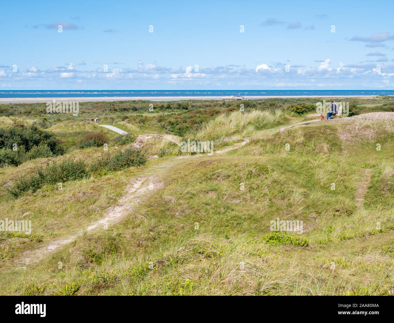 Dunes avec les gens et les sentiers à côte de la mer du Nord Ouest de l'île de Schiermonnikoog Frise, Pays-Bas Banque D'Images