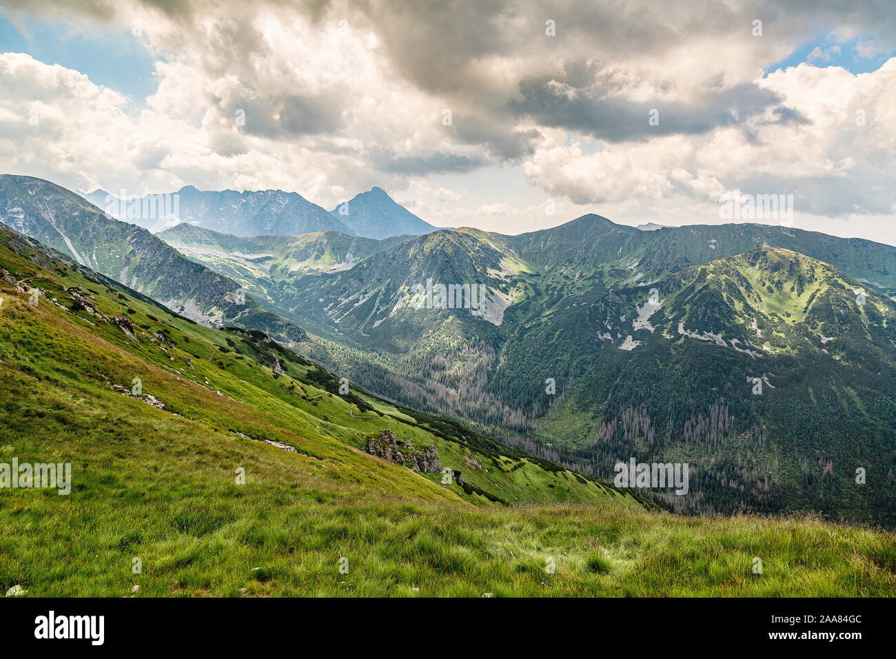 Zakopane Pologne, dans l'été Banque D'Images