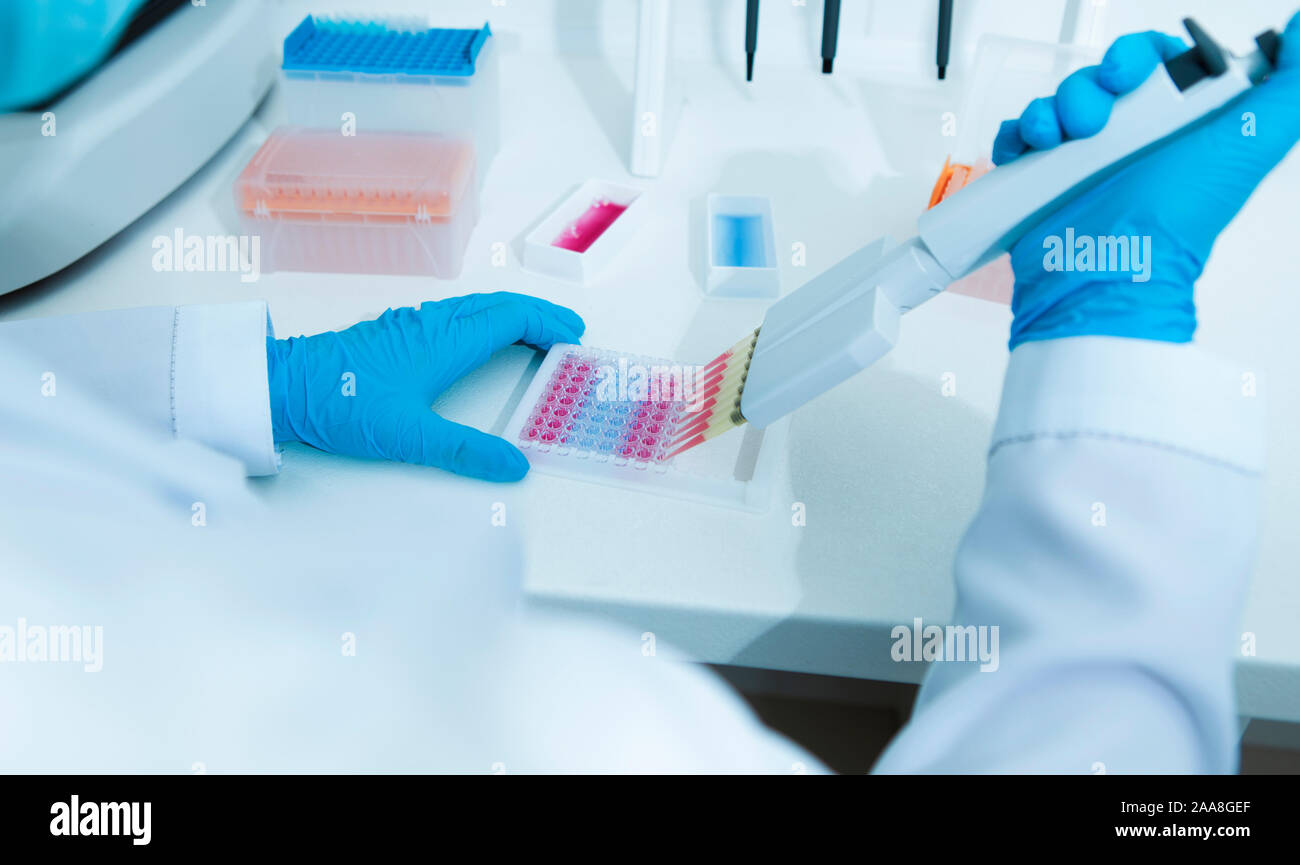 Femme de l'assistant médical travaillant avec des échantillons de couleur Banque D'Images